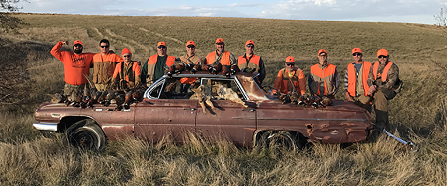 Pheasant Hunts