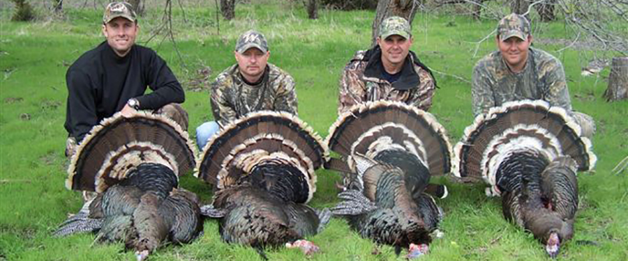 Turkey Hunts